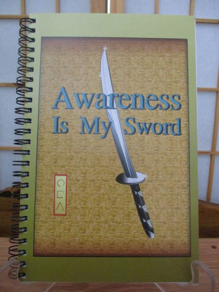 Awareness is my Sword