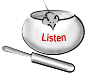 Listen to the latest Teisho